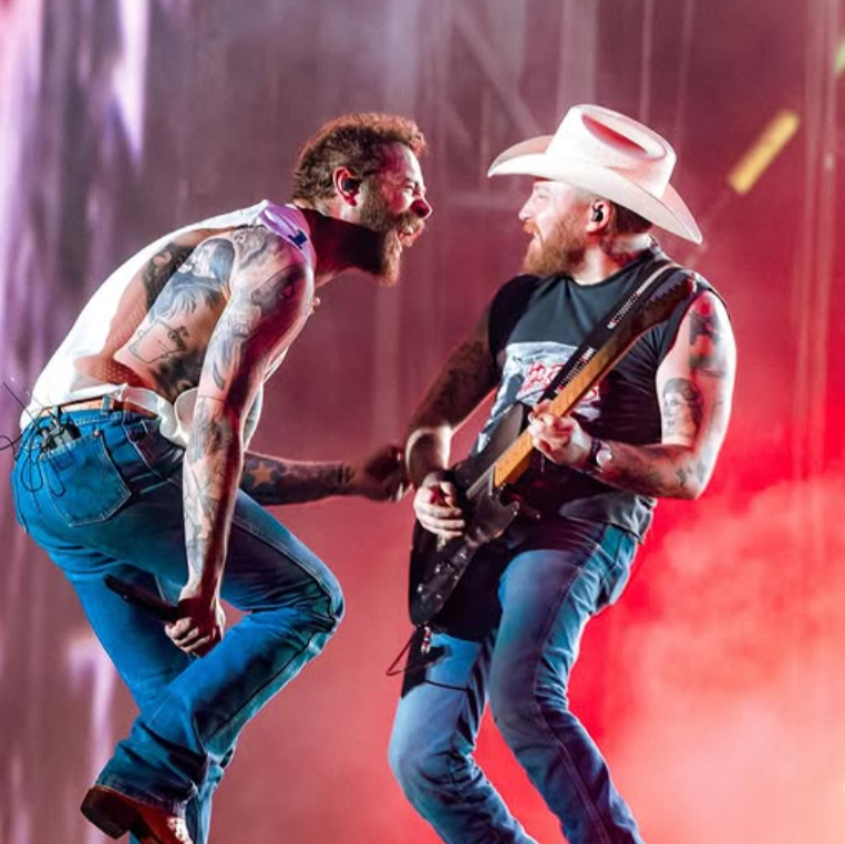 Justin Richards Bad Cat Amps Artistas