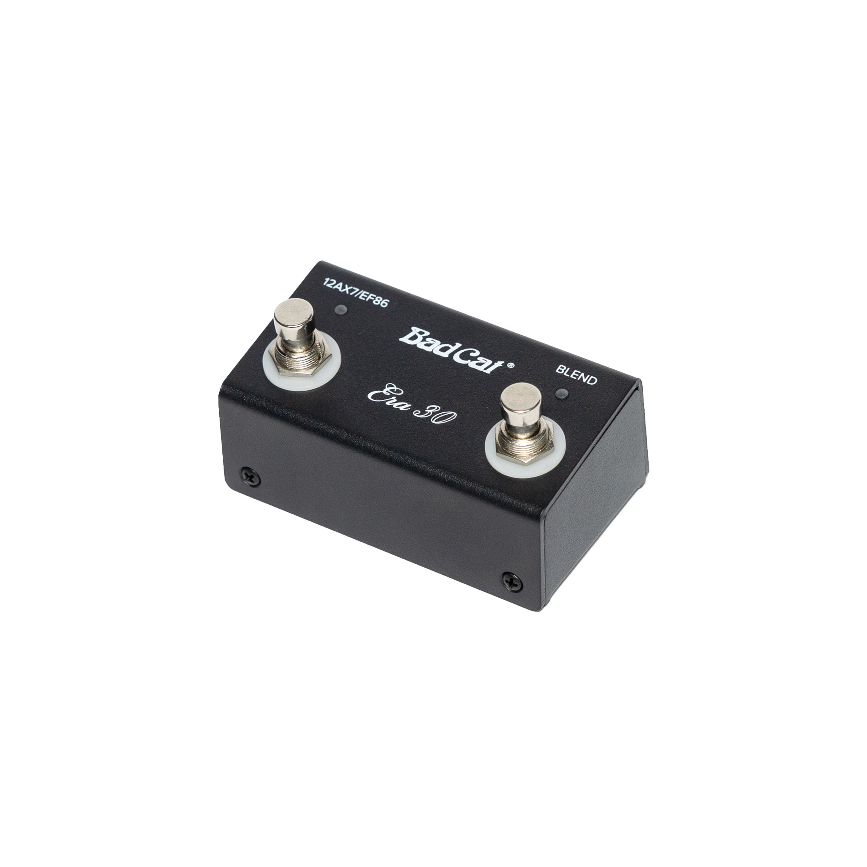 Two-Button Footswitch w/ LEDs for Era 30
