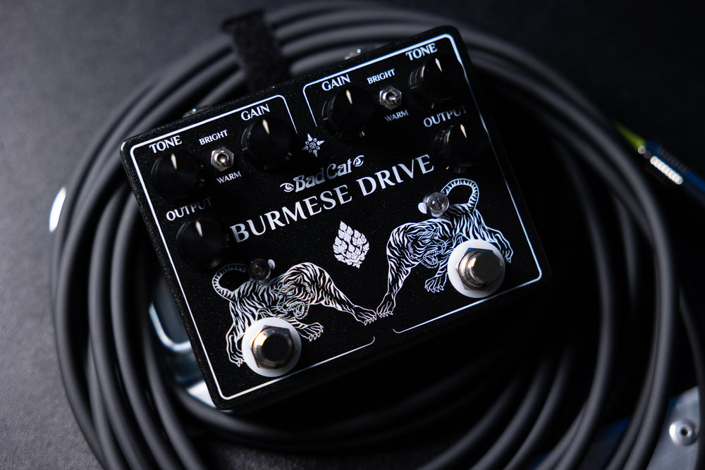 Bad Cat Amplifiers presenta Burmese Drive e Siamese Drive, due nuovi "doppi" overdrive