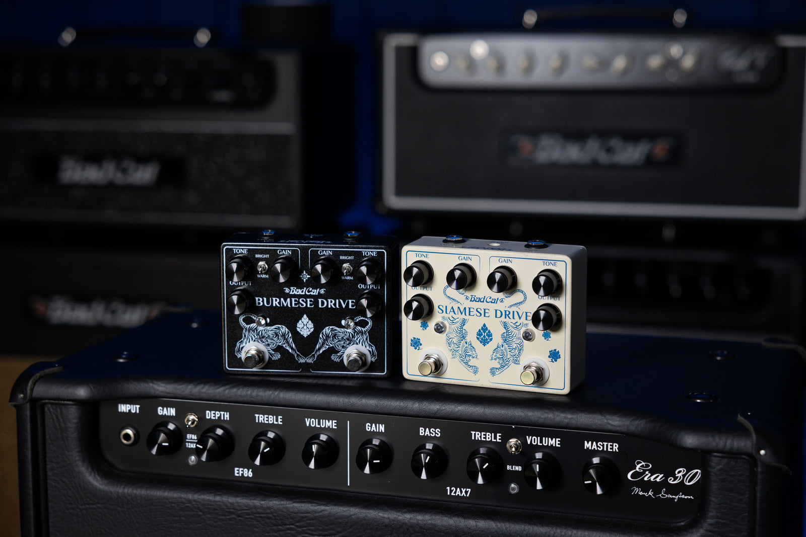 Bad Cat Amplifiers presenta Burmese Drive e Siamese Drive, due nuovi "doppi" overdrive