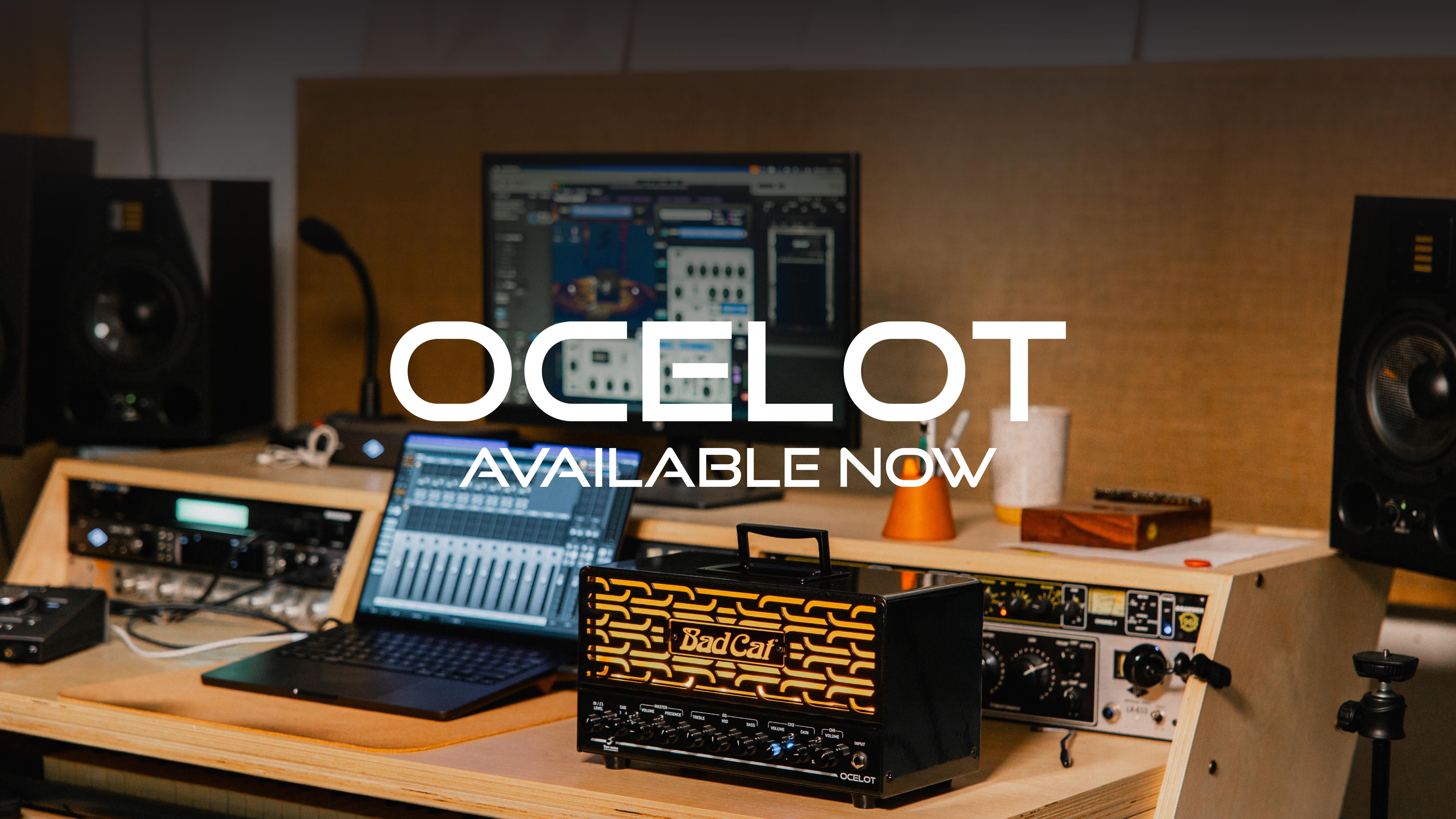 バッド・キャット・アンプ