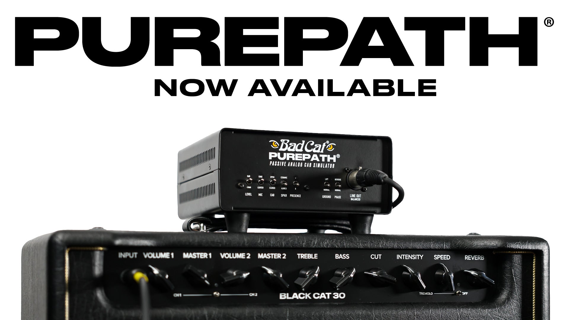 Bad Cat Amplifiers