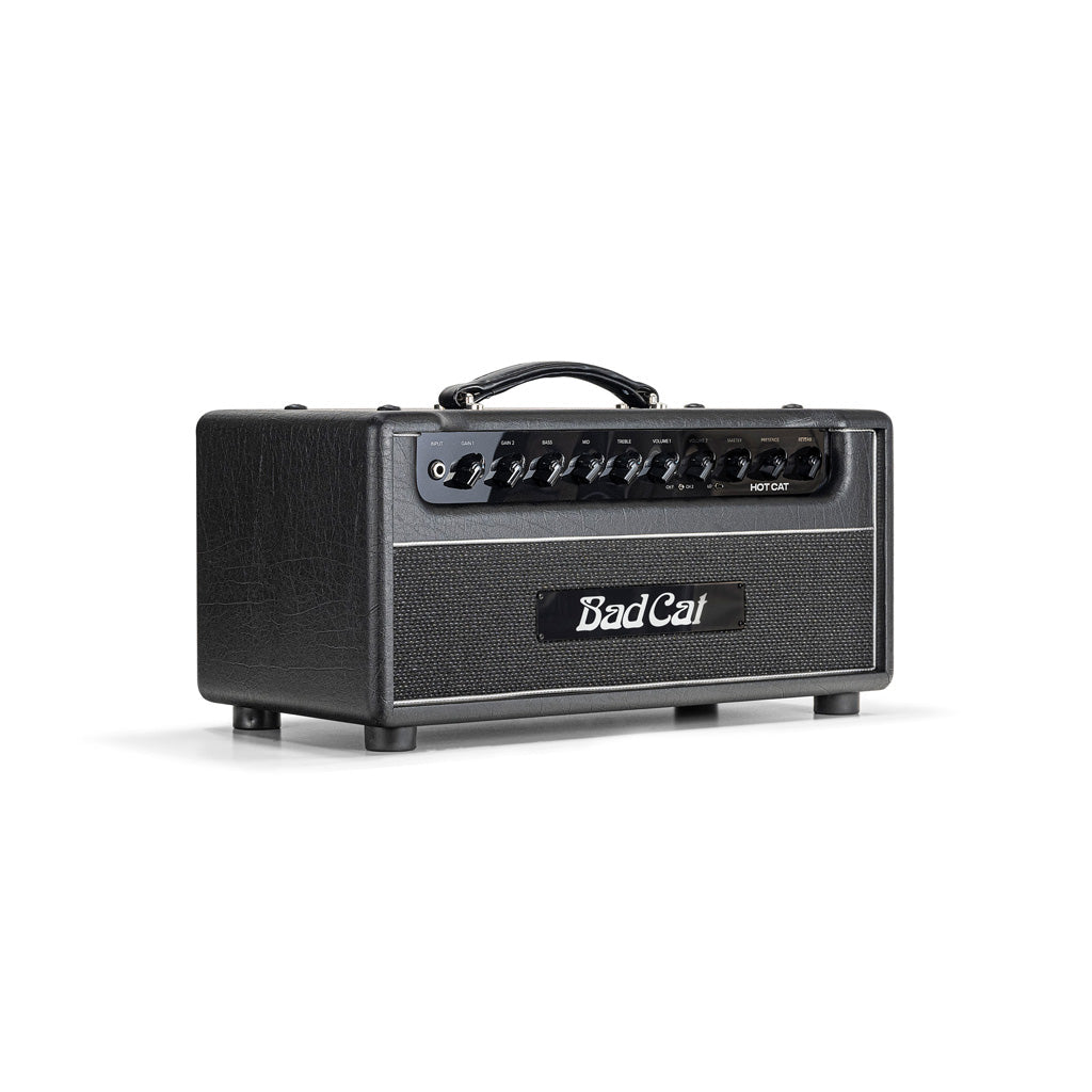 Hot Cat Head Amplifier
