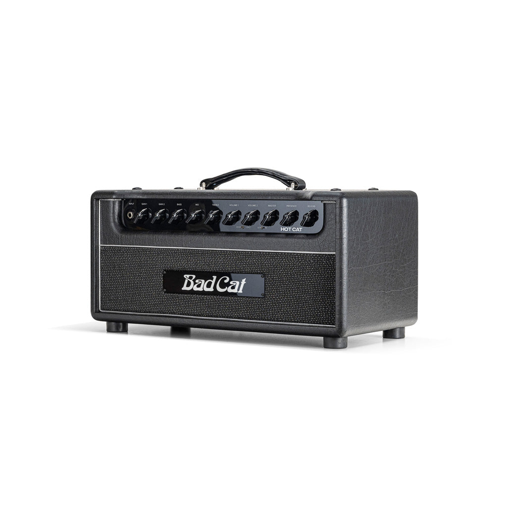 Hot Cat Head Amplifier